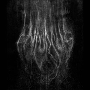 Adaestuo - EP