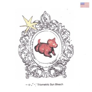 ⇢ ✩‧˚° Triometric Sun-Bleach [Explicit]