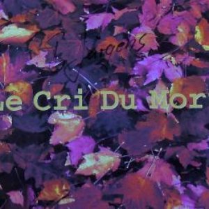 Le Cri Du Mort