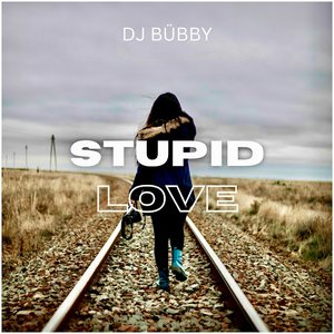 Stupid Love