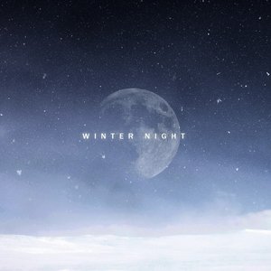 Winter Night