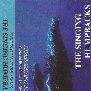 MARINE MAMMAL FUND 的头像