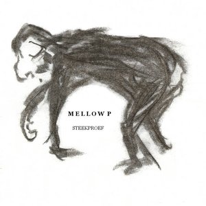 Steekproef deluxe