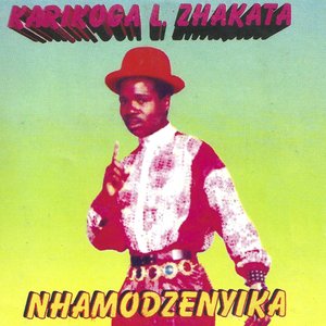 Nhamodzenyika