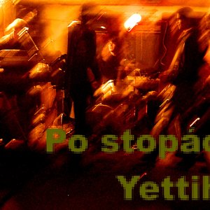 Image for 'po stopach yettiho'