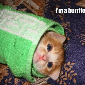 Burrito Split