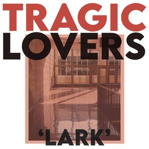 Lark - Single