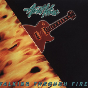 Walking Through Fire cover