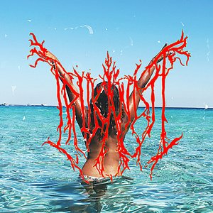 Irukandji - Single