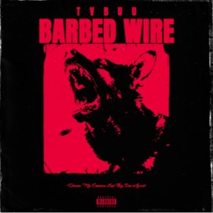 BARBED WIRE