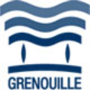 Avatar for grenouille888.org