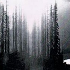 Reflections of the Autumnal Wane