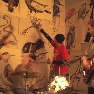 Bird Show Band 的头像