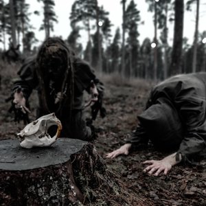Belarus Beaver 的头像