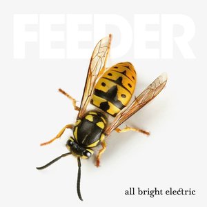 All Bright Electric (Deluxe Version)