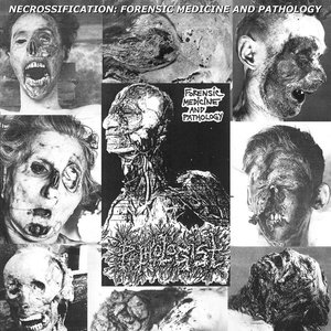 Necrossification: Forensic Medicine And Pathology