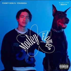 FUNKY DOG