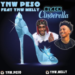 Black Cinderella (feat. YNW Melly) [Explicit]