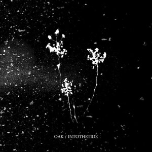 Split with Intothetide
