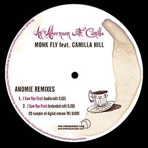 An Afternoon With Camilla - Anomie Remixes