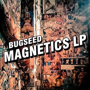 MAGNETICS LP