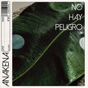 No Hay Peligro - Single