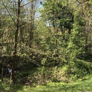 Quinn - Ok Im Cool Lyrics - Zortam Music