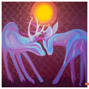 Old Suns