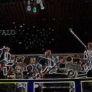 BUFALO 的头像