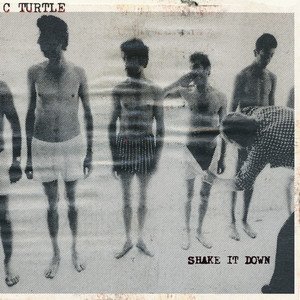 Shake It Down - Single