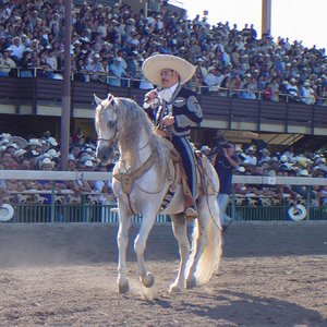 Image for 'Ezequiel Peña'