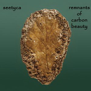 Remnants Of Carbon Beauty