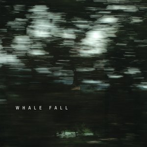 Image for 'Whale Fall'