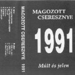 1991 - Múlt és jelen