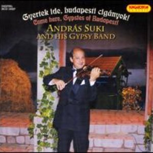 Bild för 'Szaztagú Cinanyzenekar, András Suki'