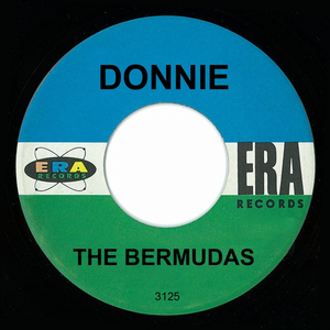 bermudas - Donnie - Zortam Music