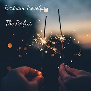 The Perfect