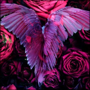 Roses Like Dead Hearts - EP