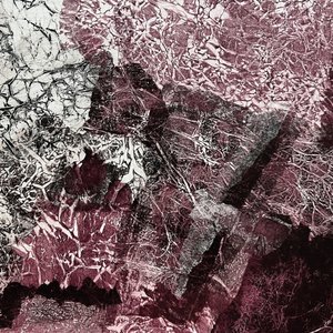 Primitive