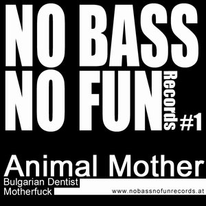 No Bass No Fun 01