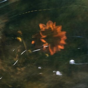 sommerluft