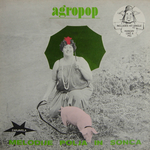 Melodije polja in sonca cover