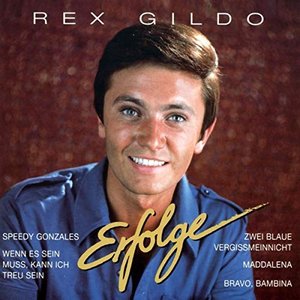 Rex Gildo: Erfolge