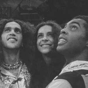 Gilberto Gil, Caetano Veloso & Gal Costa のアバター