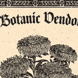 Avatar for Botanic Vendor