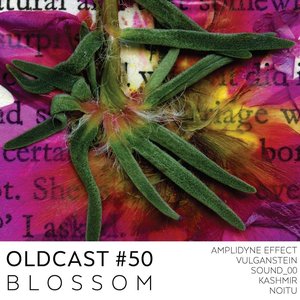 Oldcast #50 - BLOSSOM