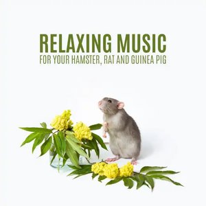 Relaxing Music for Your Hamster, Rat and Guinea Pig (Calm Your Pet with the Sounds of Nature & Piano)