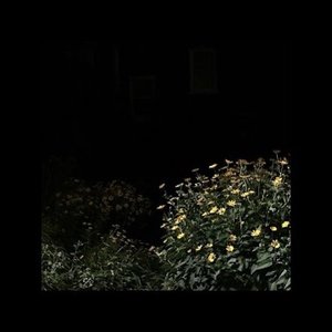 22 - EP