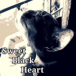 Image for 'Sweet Black Heart'