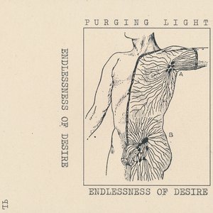 Endlessness of Desire